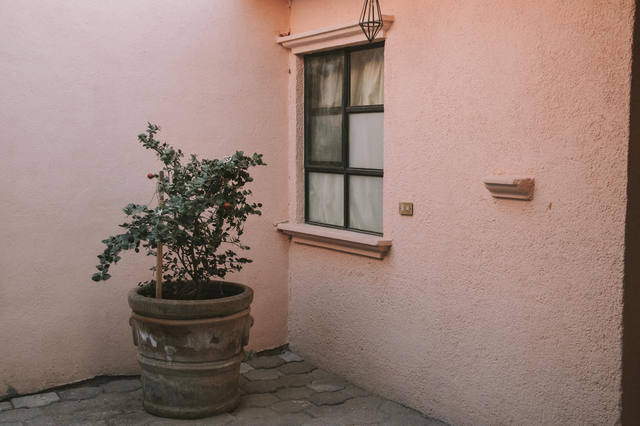سان ميغيل دي الليندي Casa Los Naranjos المظهر الخارجي الصورة