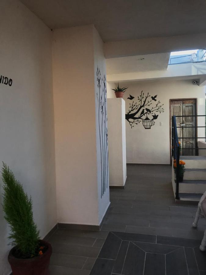 سان ميغيل دي الليندي Casa Los Naranjos المظهر الخارجي الصورة
