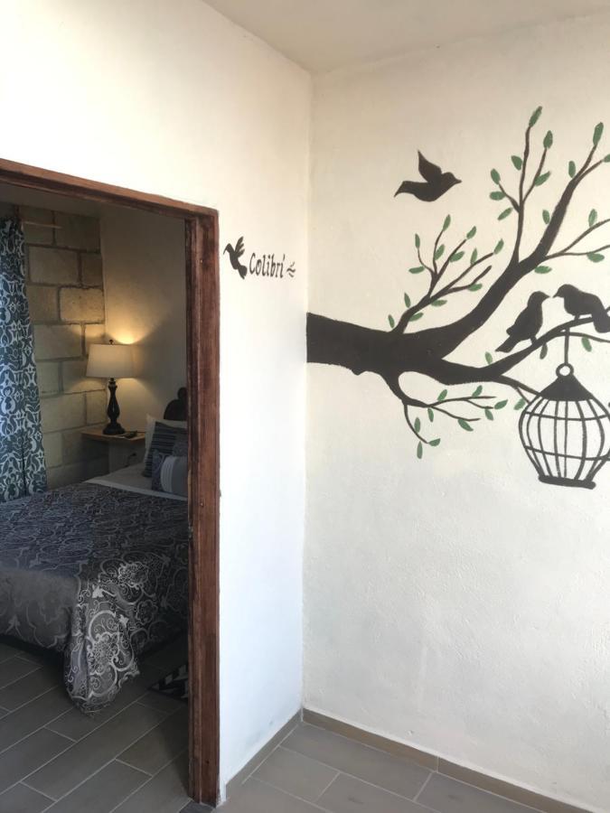 سان ميغيل دي الليندي Casa Los Naranjos المظهر الخارجي الصورة